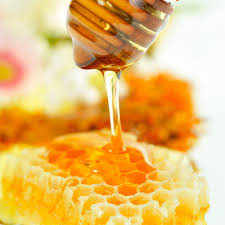 Indian Honey Exporters